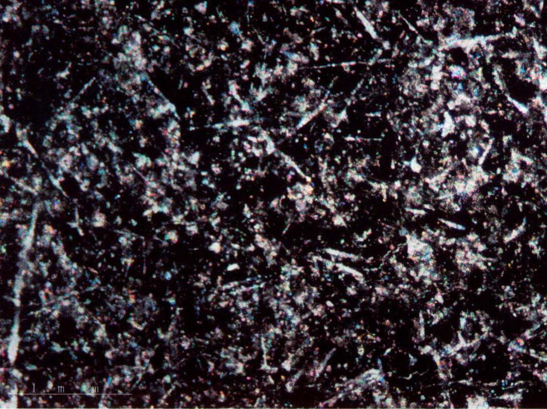 图3-4-6 碳质灰岩